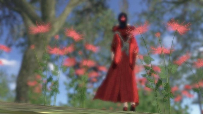 关于尼康，大家一致认为尼康***性能拉胯。可是我有一个疑惑是，我们普通人真的需要那些***性能吗？